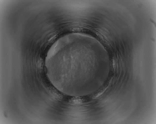 X0000091480228200709131817