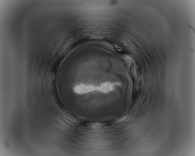 X0000091480229200709131817