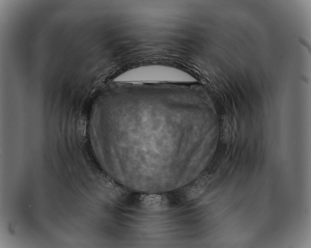 X0000091480230200709131817