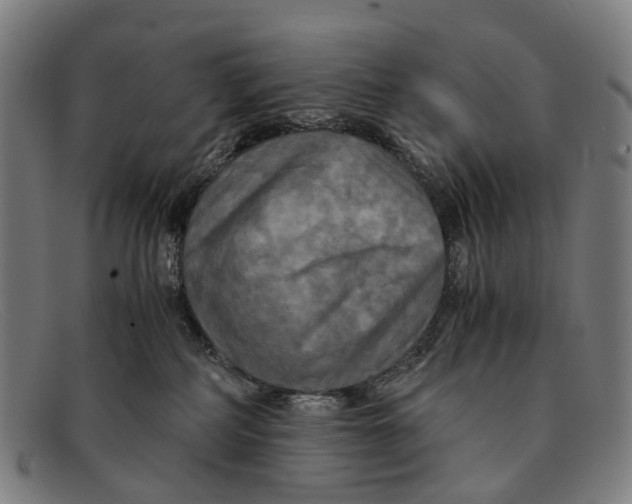 X0000091480234200709131817