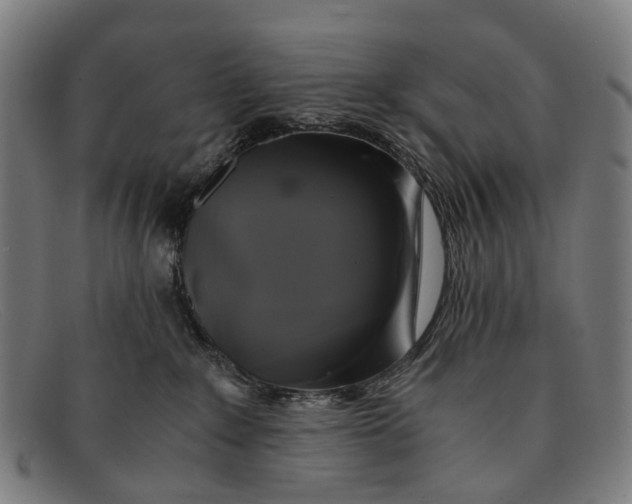 X0000091480235200709131817