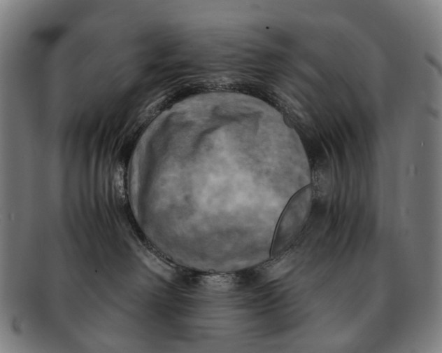 X0000091480238200709131817