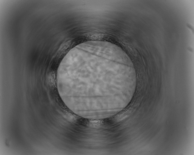 X0000091480240200709131817