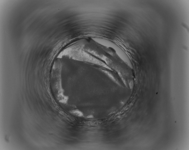 X0000091480241200709131817