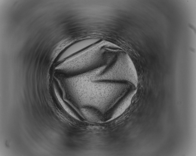 X0000091480242200709131817