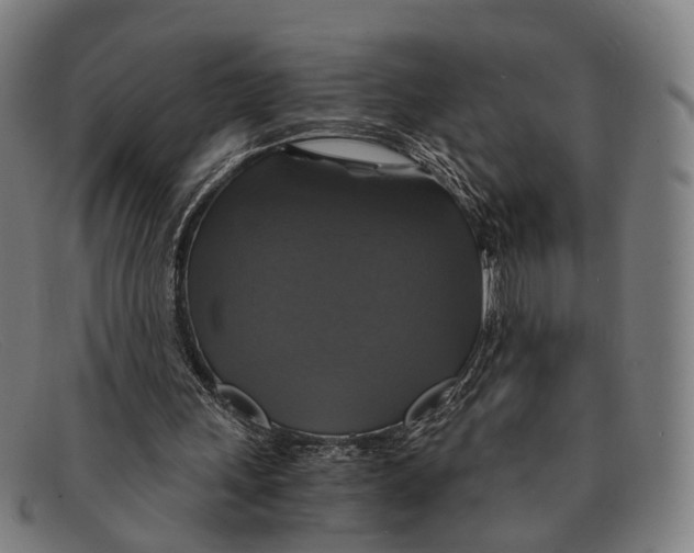 X0000091480243200709131817