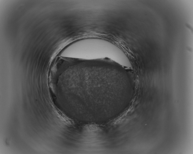 X0000091480244200709131817