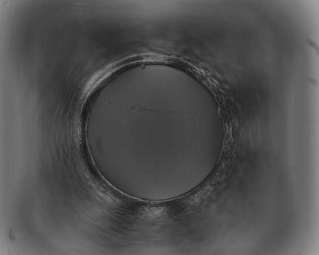 X0000091480247200709131817