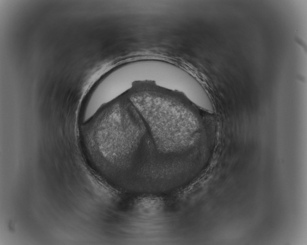 X0000091480248200709131817