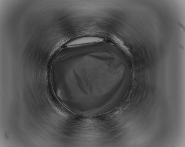 X0000091480250200709131817