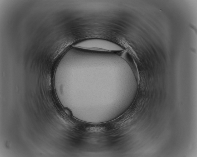 X0000091480251200709131817