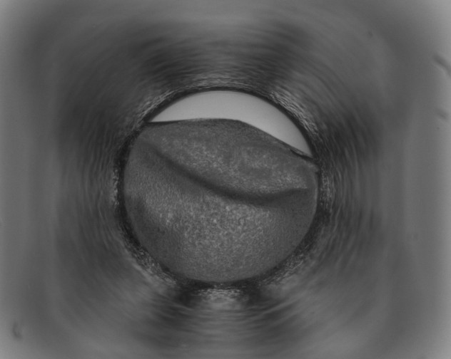 X0000091480255200709131817