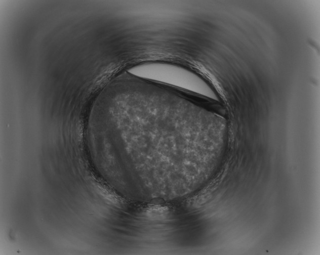 X0000091480257200709131817