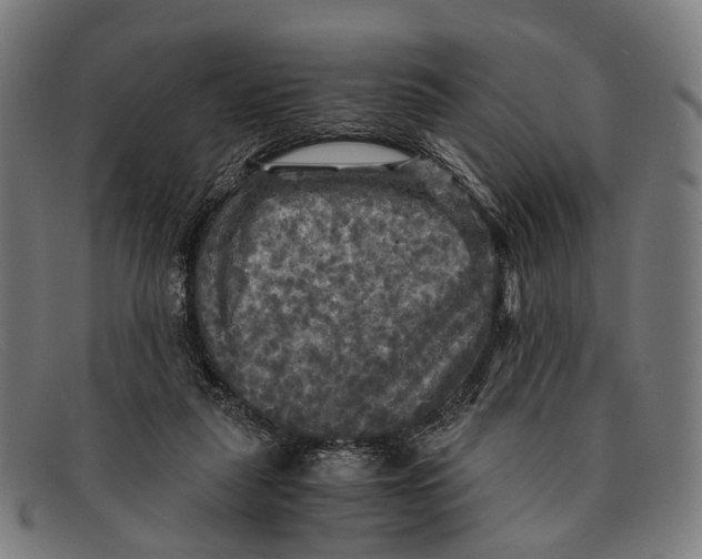 X0000091480259200709131817