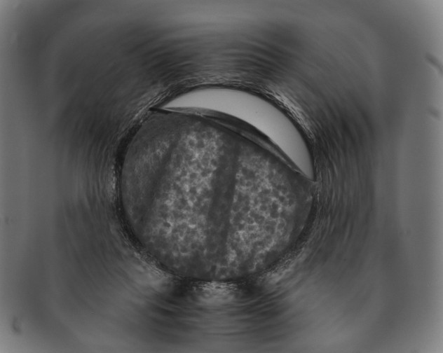 X0000091480261200709131817