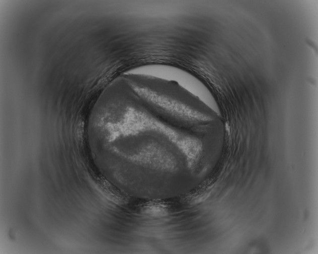 X0000091480263200709131817