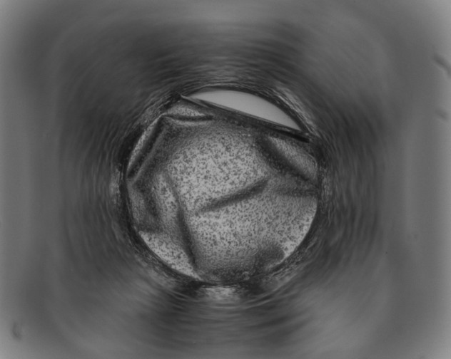 X0000091480265200709131817