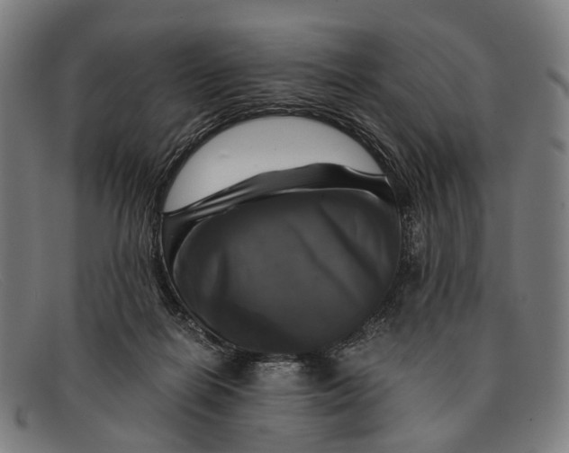 X0000091480266200709131817