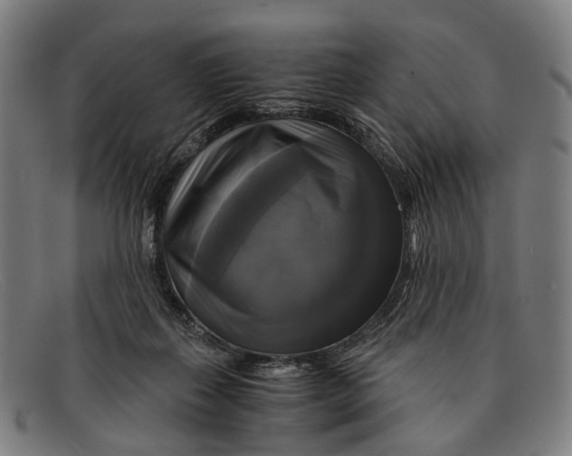 X0000091480267200709131817