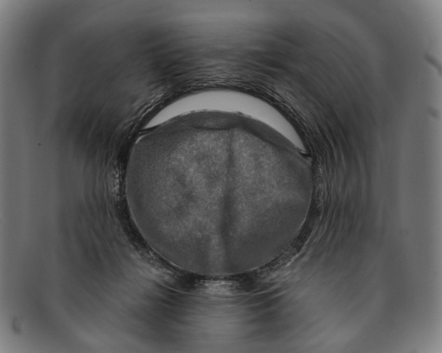 X0000091480268200709131817