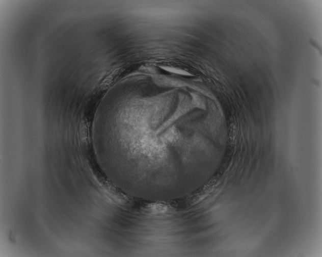 X0000091480272200709131817