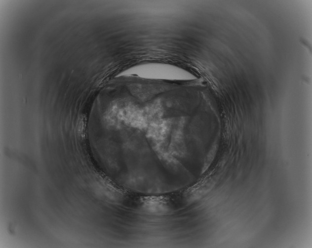 X0000091480273200709131817