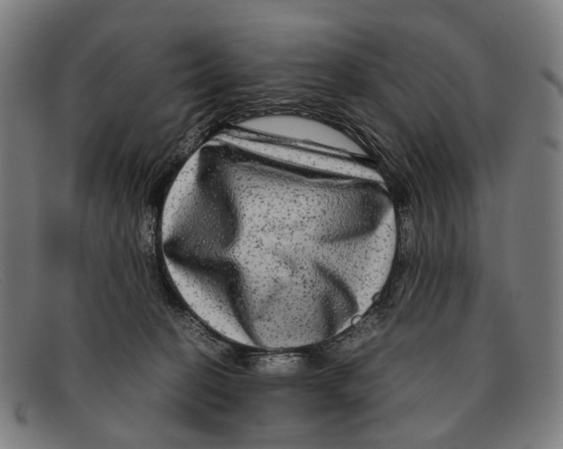 X0000091480274200709131817