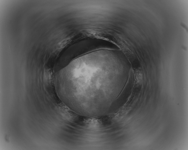 X0000091480276200709131817