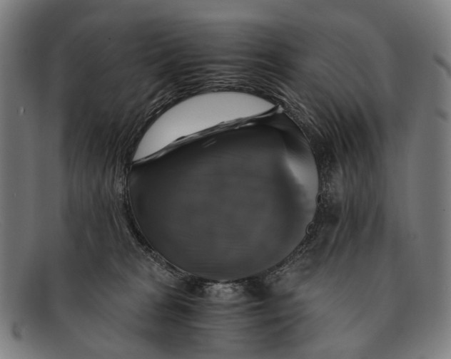 X0000091480277200709131817