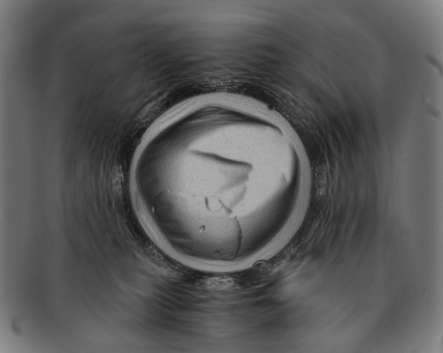 X0000091480279200709131817