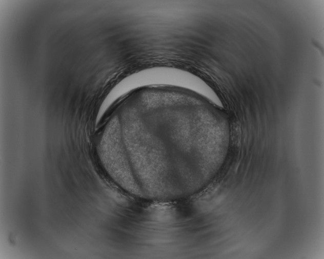 X0000091480280200709131817