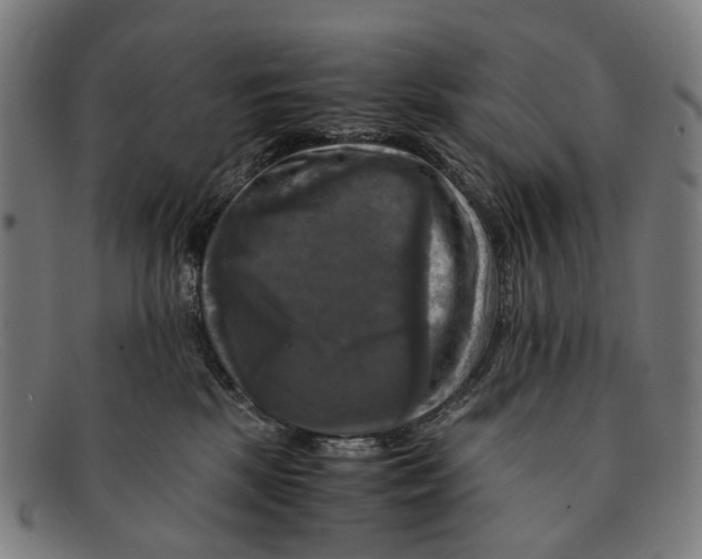 X0000091480281200709131817