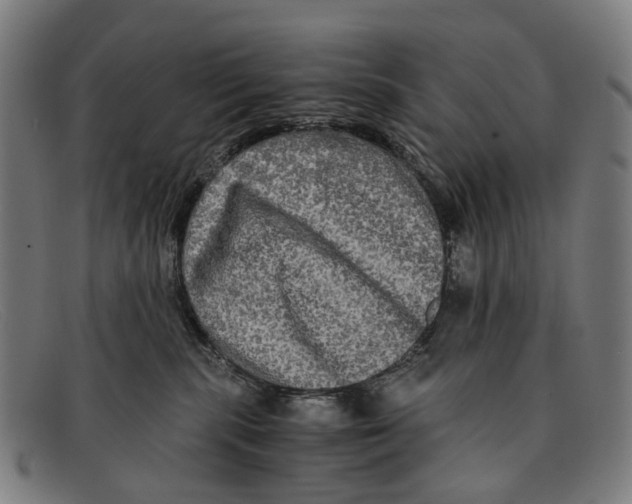 X0000091480283200709131817