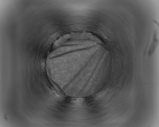 X0000091480288200709131817