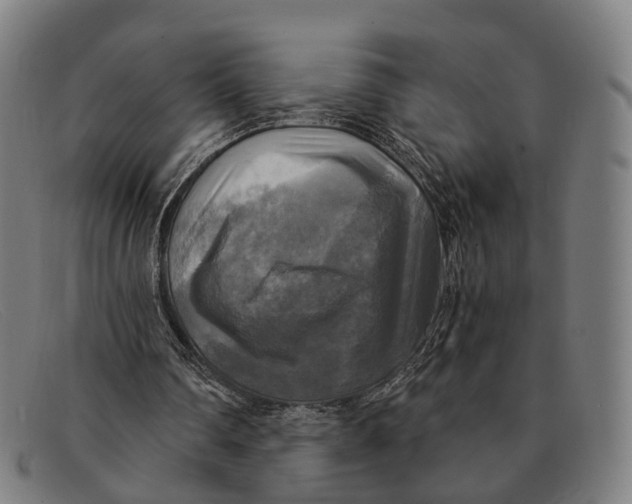 X0000091480290200709131817