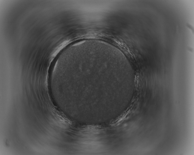 X0000091480292200709131817