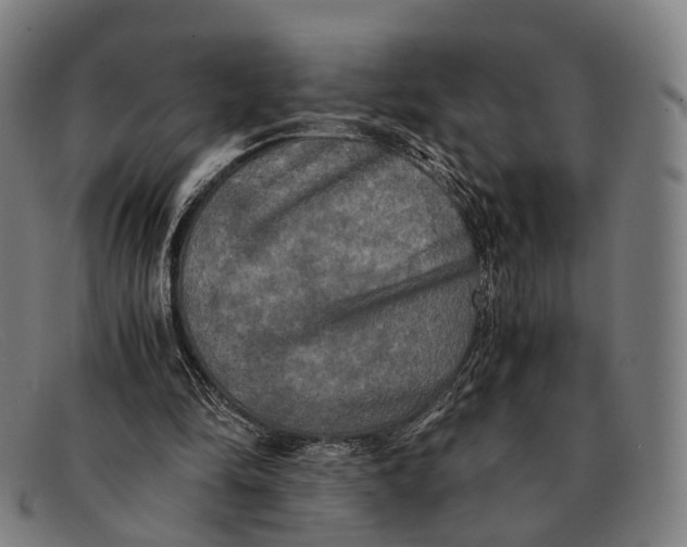 X0000091480294200709131816