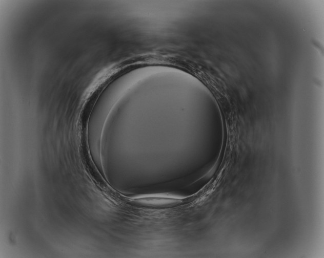 X0000091480295200709131816