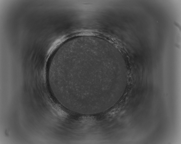 X0000091480296200709131816