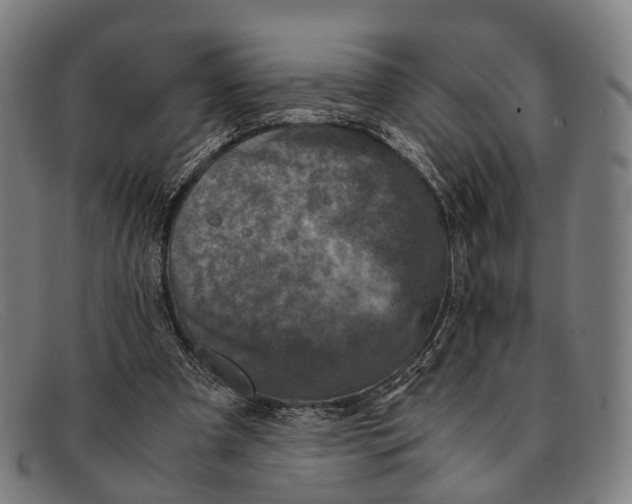 X0000091480297200709131816