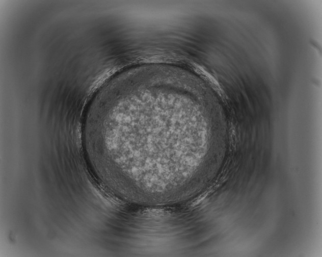 X0000091480298200709131816