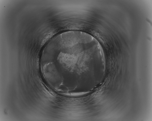 X0000091480299200709131816