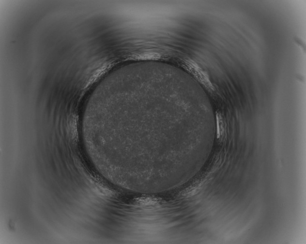 X0000091480300200709131816