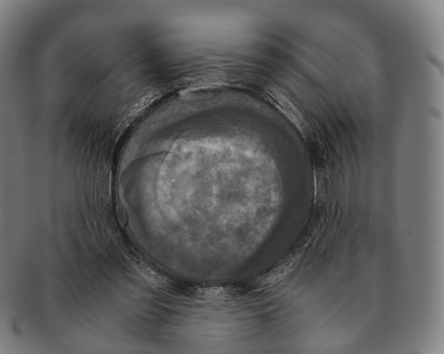 X0000091480301200709131816