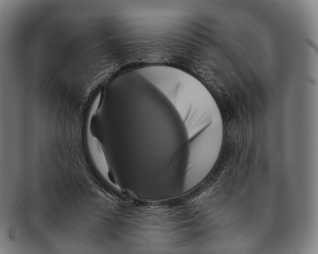 X0000091480303200709131816