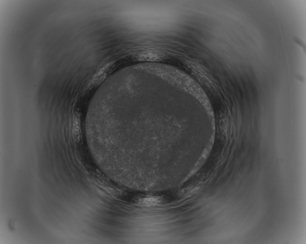 X0000091480312200709131816