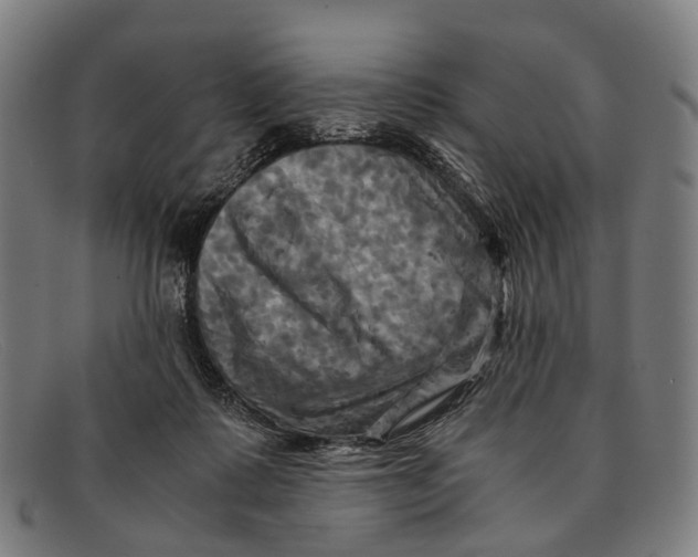 X0000091480315200709131816