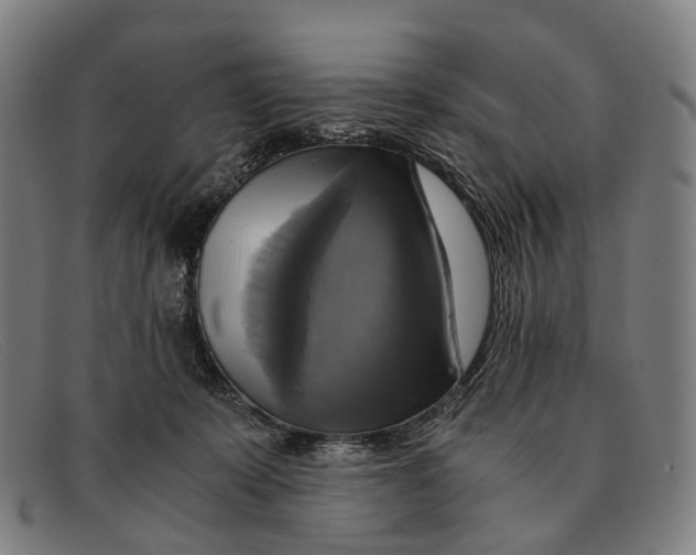 X0000091480319200709131816