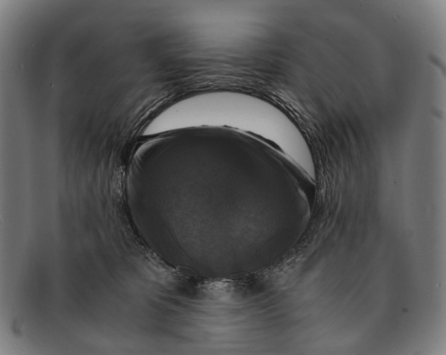 X0000091480325200709131816