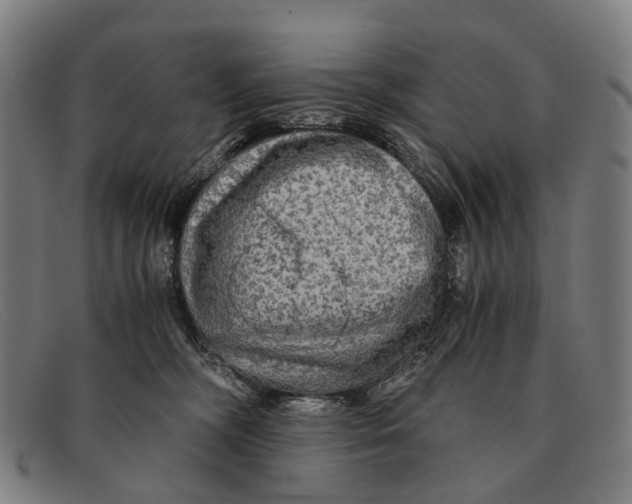 X0000091480326200709131816